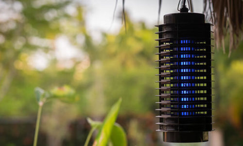 Đèn bắt muỗi loại nào tốt và thực sự diệt được muỗi?