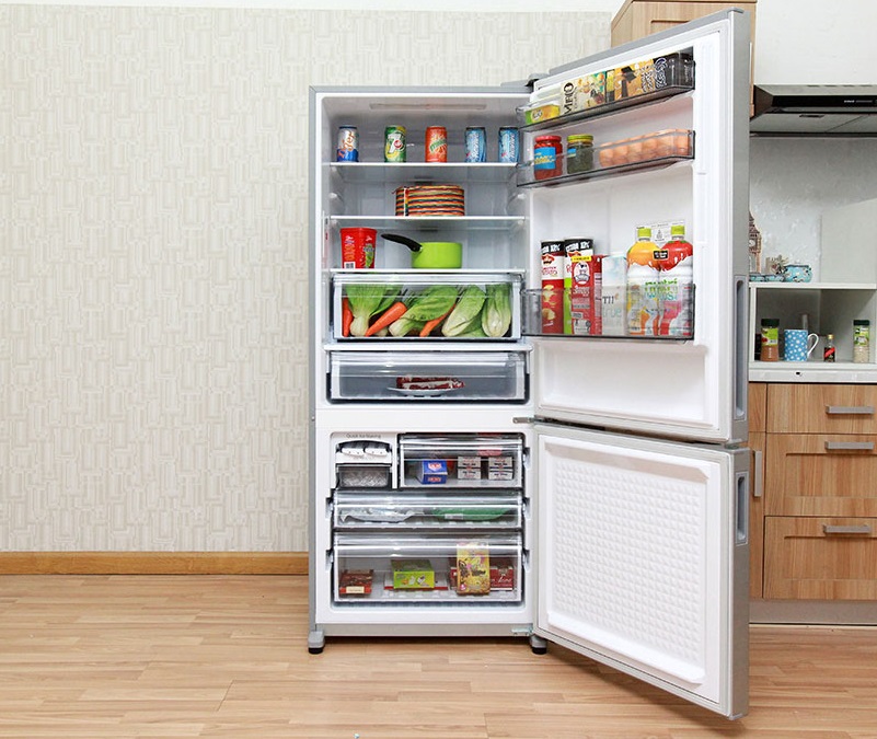 Tủ lạnh ngăn đá dưới Tủ lạnh ngăn đá dưới
