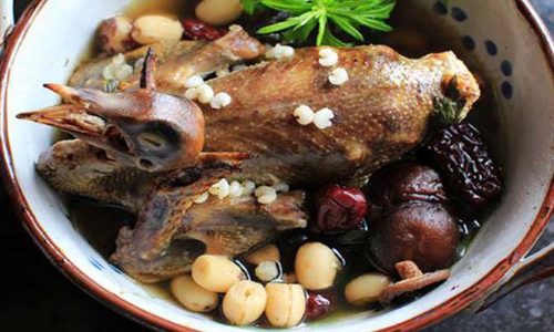 Cách hầm chim bồ câu cho bà bầu
