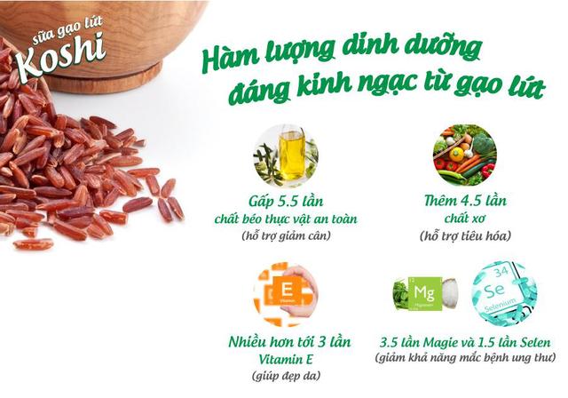 Nguồn dinh dưỡng chứa trong gạo lứt Nguồn dinh dưỡng chứa trong gạo lứt