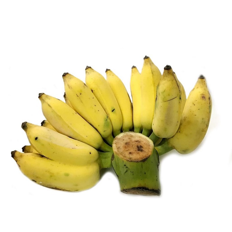 Chuối xiêm chín tự nhiên trên cây Chuối xiêm chín tự nhiên trên cây