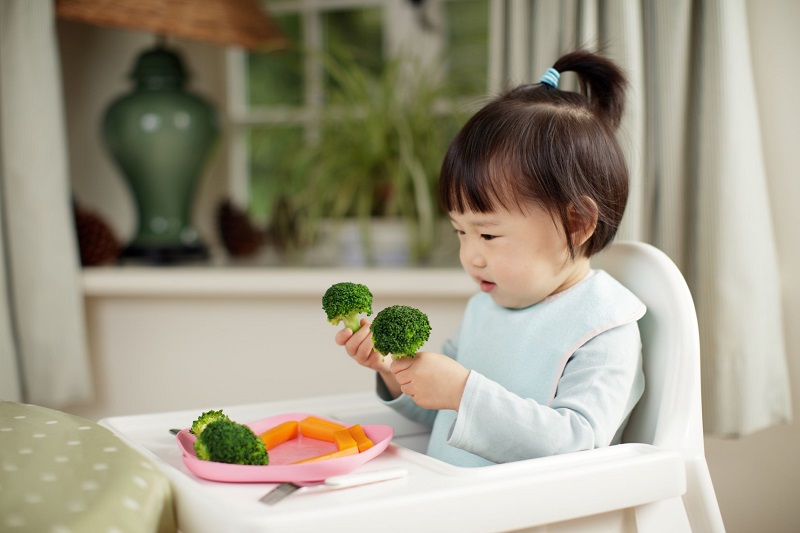 Ghế ăn dặm là gì? Ghế ăn dặm là gì?