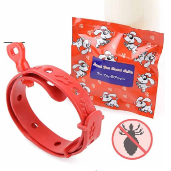 Top 5 vòng cổ cho chó đẹp độc lạ sen không thể bỏ qua 36 Top 5 vòng cổ cho chó đẹp độc lạ sen không thể bỏ qua 36