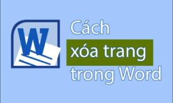 Hướng dẫn xóa trang trong Word vô cùng đơn giản