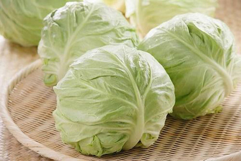 Bắp cải là thực phẩm được khuyến cáo nên dùng cho mẹ bầu. Bắp cải là thực phẩm được khuyến cáo nên dùng cho mẹ bầu.