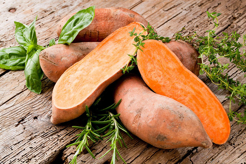 Khoai lang là thực phẩm chứa nhiều vitamin A và chất xơ. Khoai lang là thực phẩm chứa nhiều vitamin A và chất xơ.