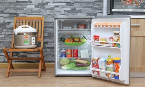 Top 5 tủ lạnh mini tốt nhất 2022