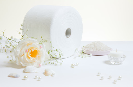 Lợi ích khi sử dụng giấy vệ sinh Lợi ích khi sử dụng giấy vệ sinh