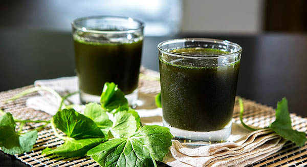 Uống nước rau má có tác dụng gì Uống nước rau má có tác dụng gì