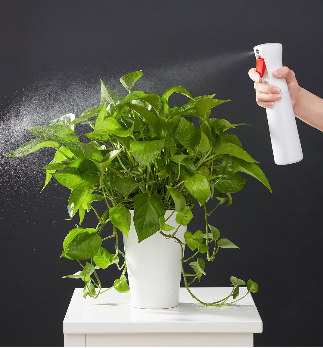 Hướng dẫn sử dụng bình xịt nước Hướng dẫn sử dụng bình xịt nước
