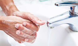 Top 5 loại nước rửa tay được ưa chuộng trong năm 2024