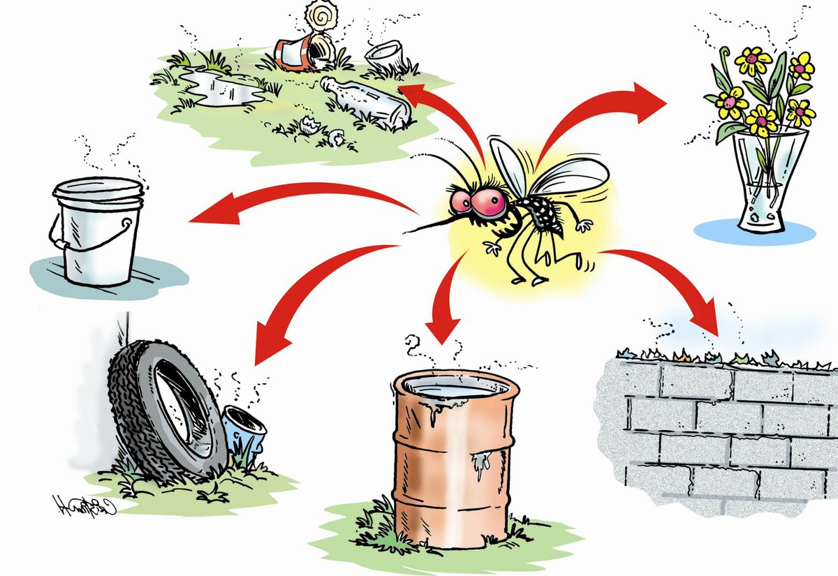 Vệ sinh nhà ở nơi sinh hoạt sạch sẽ để phòng muỗi