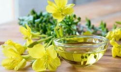 Tinh dầu hoa anh thảo có tác dụng gì với sức khỏe và sắc đẹp?